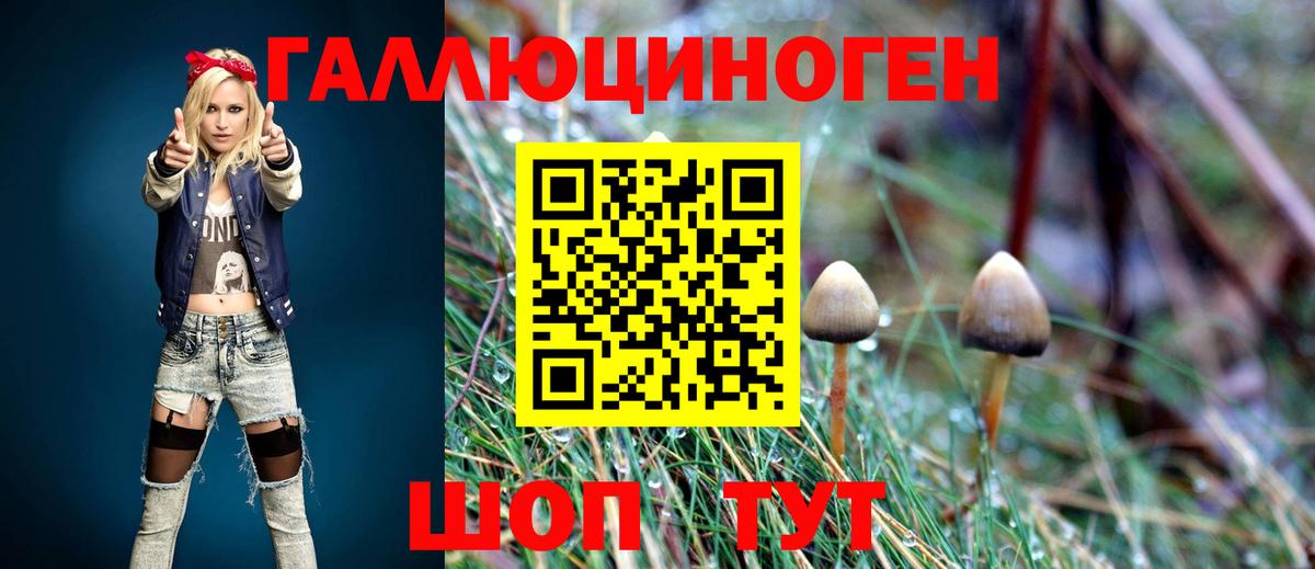 Галлюциногенные грибы Psilocybe Лангепас